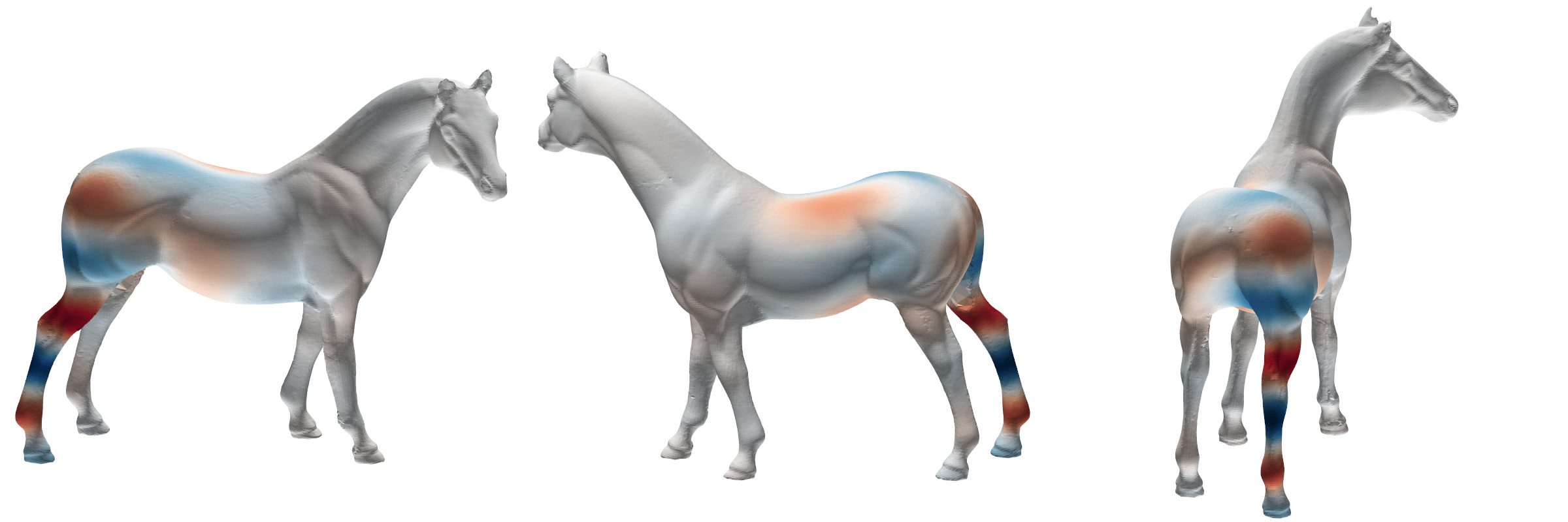 Wavelet on Horse Mesh